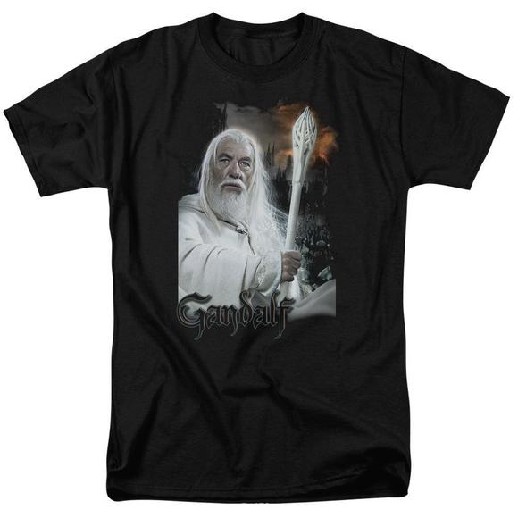 The Lord Of The Rings Trilogy  Gandalf - Picture 1 of 4